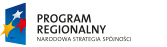 program regionalny